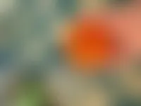 ImprintNow.co.uk