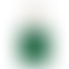 Forest Green - Imprint Now - UK