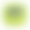Lime Green - Imprint Now - UK