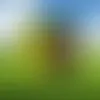 Custom Beer Bar Yard Sign