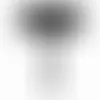 Pet Memorial Stakes - Imprint Now - UK