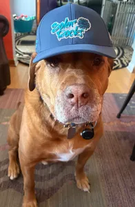 ImprintNow.co.uk - Full Color TPU