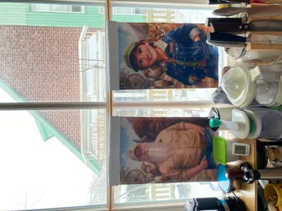 Garden Flag - Ich benutze die Gartenfahnen als Gardine fr die Kche