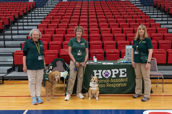 ImprintNow.co.uk - Custom Rectangle Table Covers