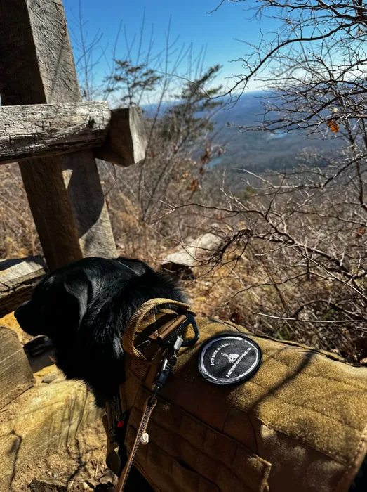 ImprintNow.co.uk - Embroidered Patches