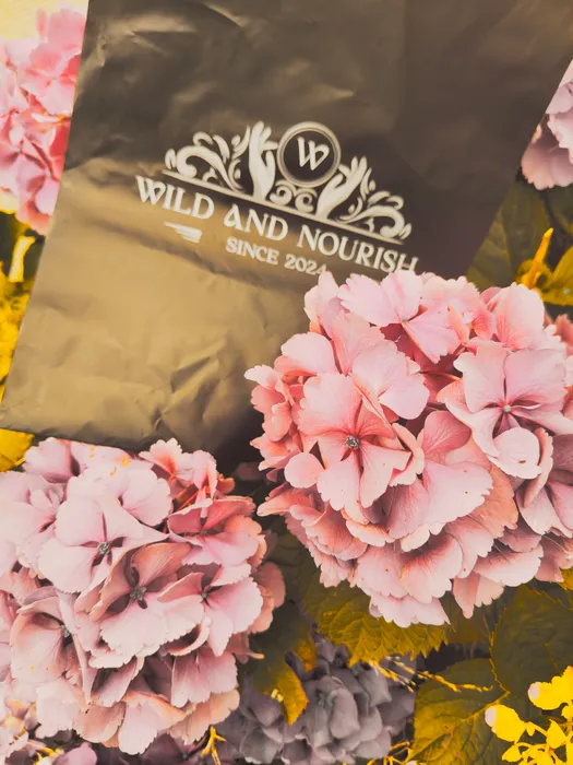 ImprintNow.co.uk - Custom Poly Mailer