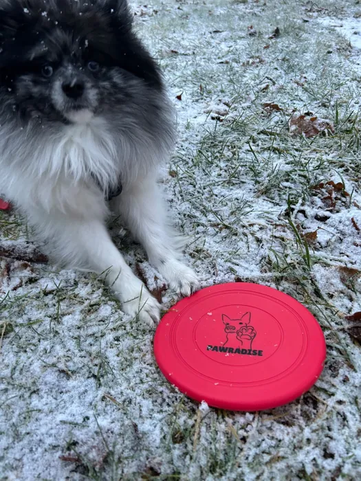 ImprintNow.co.uk - Silica Gel Flying Disc 7 inch