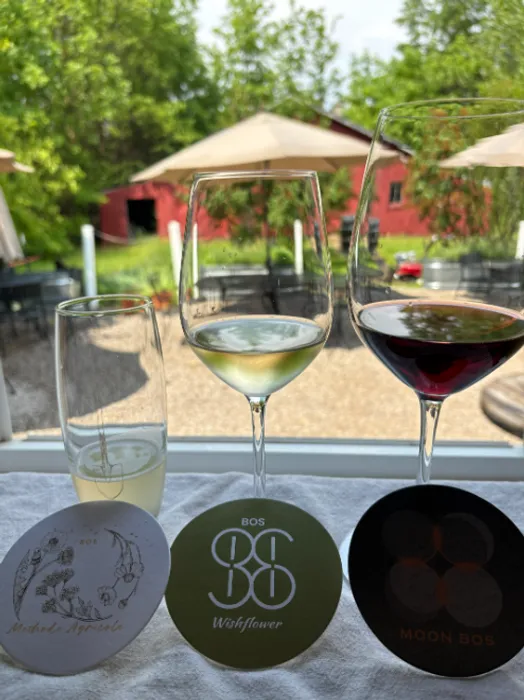 ImprintNow.co.uk - Pulpboard Coasters