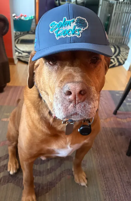 ImprintNow.co.uk - Full Color TPU