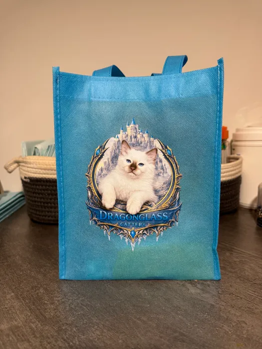 ImprintNow.co.uk - Custom Small Gift Tote Bag