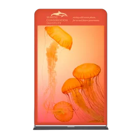 EZ Extend Displays - Imprint Now - UK