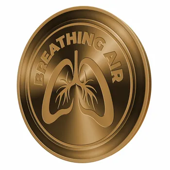 Challenge Coins - Imprint Now - UK