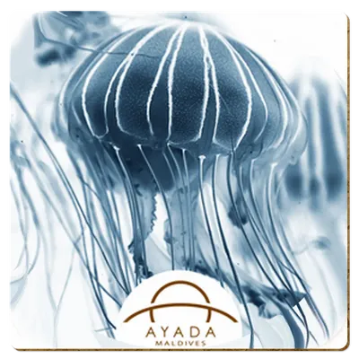 Square - Imprint Now - UK