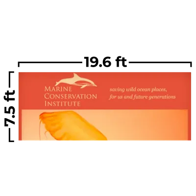 597 x 229 cm 597 x 229 cm - Imprint Now - UK