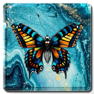 Square - Imprint Now - UK