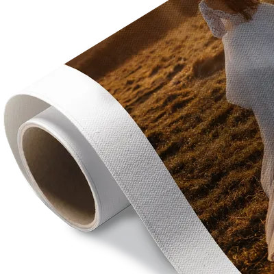 Rolled Canvas Rolled Canvas - Imprint Now - UK