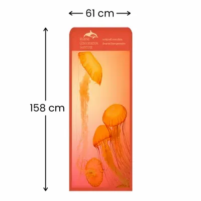 61 x 158 cm 61 x 158 cm - Imprint Now - UK