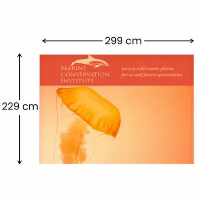 299 x 229 cm 299 x 229 cm - Imprint Now - UK