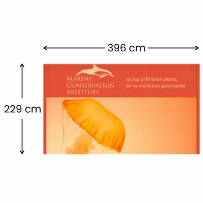 396 x 229 cm 396 x 229 cm - Imprint Now - UK