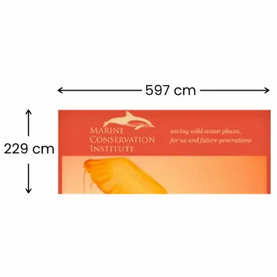597 x 229 cm 597 x 229 cm - Imprint Now - UK