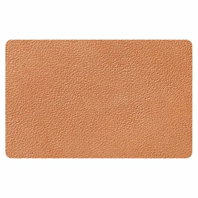 Camel Camel - Imprint Now - UK