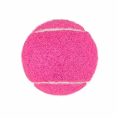 Fuchsia - Imprint Now - UK