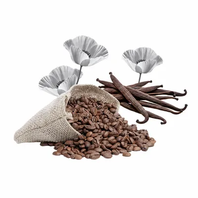 Black Opium - Imprint Now - UK