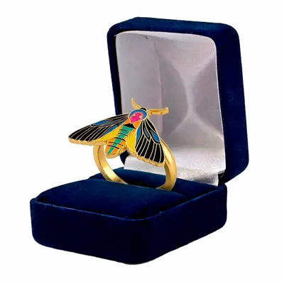 Blue Velvet Box - Imprint Now - UK