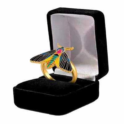 Black Velvet Box - Imprint Now - UK