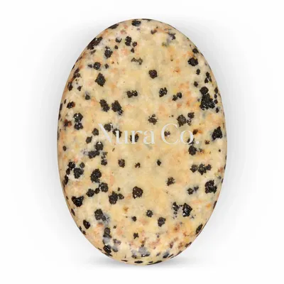 Dalmatian - Imprint Now - UK