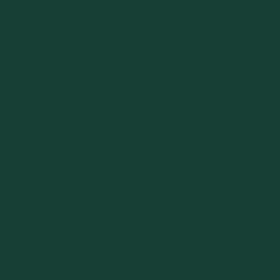 Forest Green - Imprint Now - UK