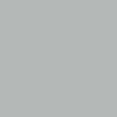 Light Grey - Imprint Now - UK