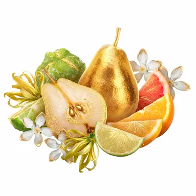 Golden Adore - Imprint Now - UK