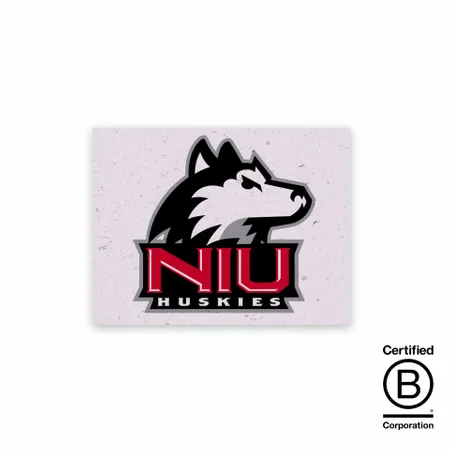 Seed Paper Panel Cards - Imprint Now - UK