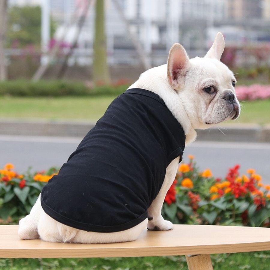 Pet Tank Shirts - Imprint Now - UK
