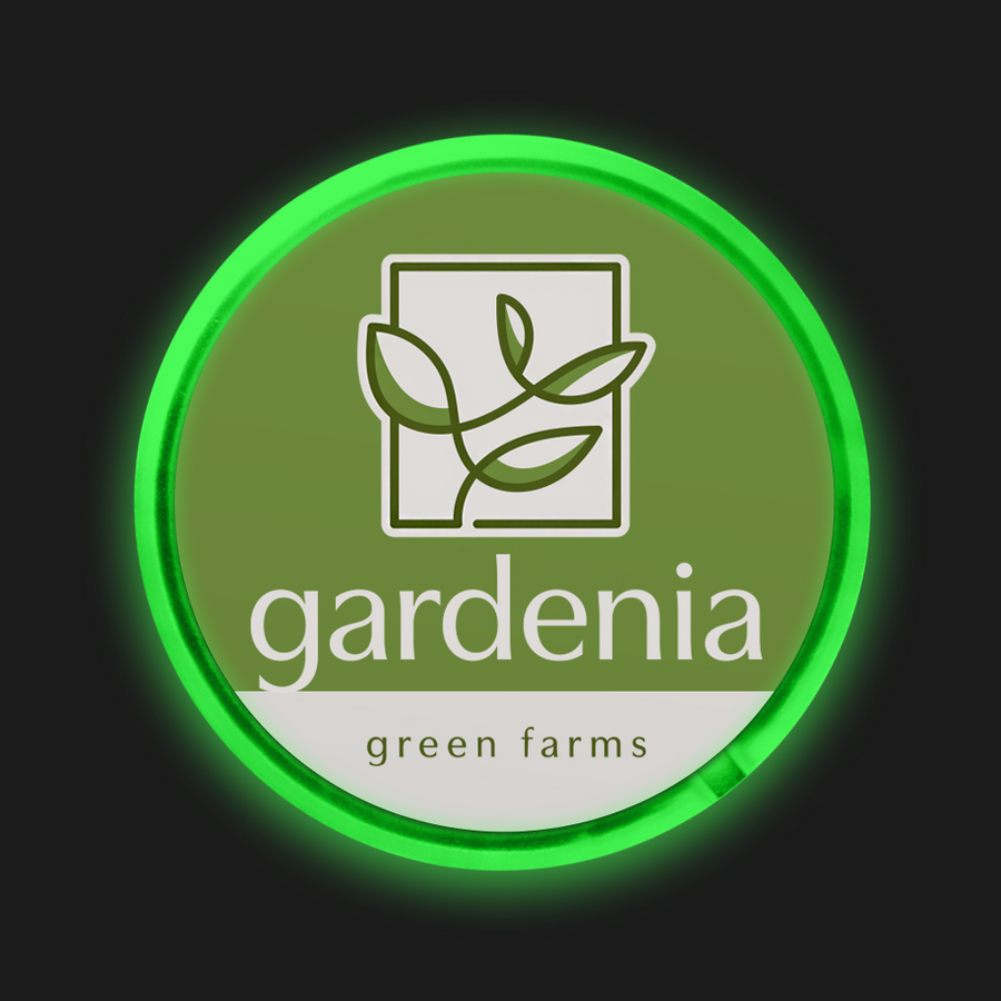 Light Button Pins - Imprint Now - UK