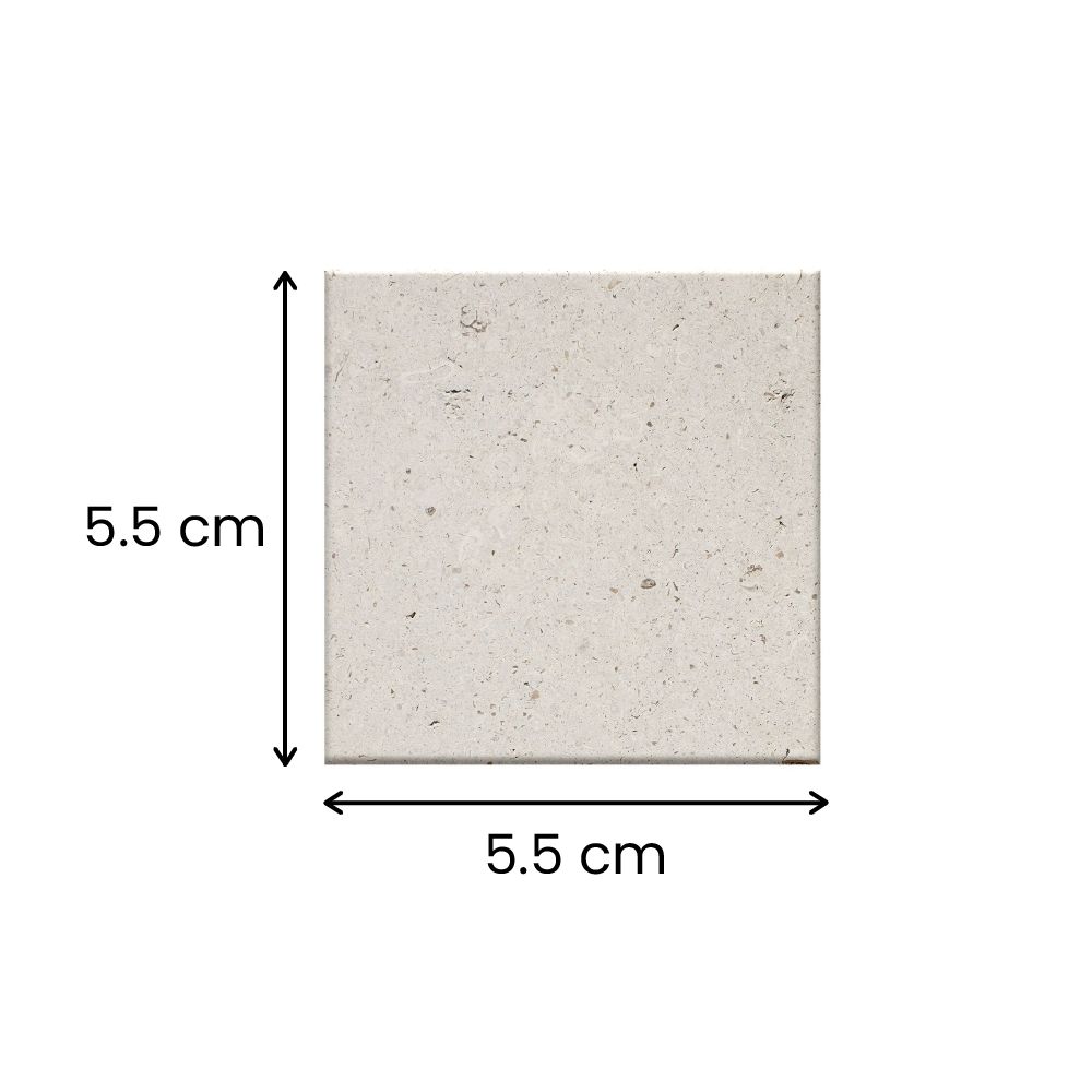 Square (5.5 cm x 5.5 cm)